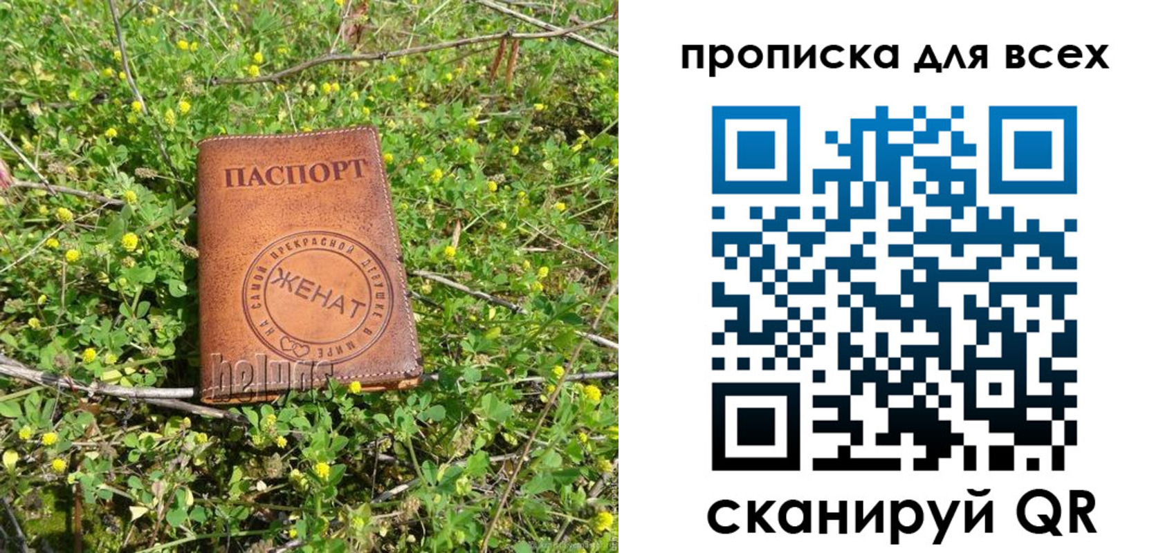 прописка поиск в Льгове